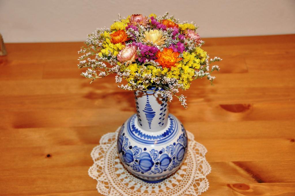 Traditional Slovak Apartment 布拉迪斯拉发 外观 照片